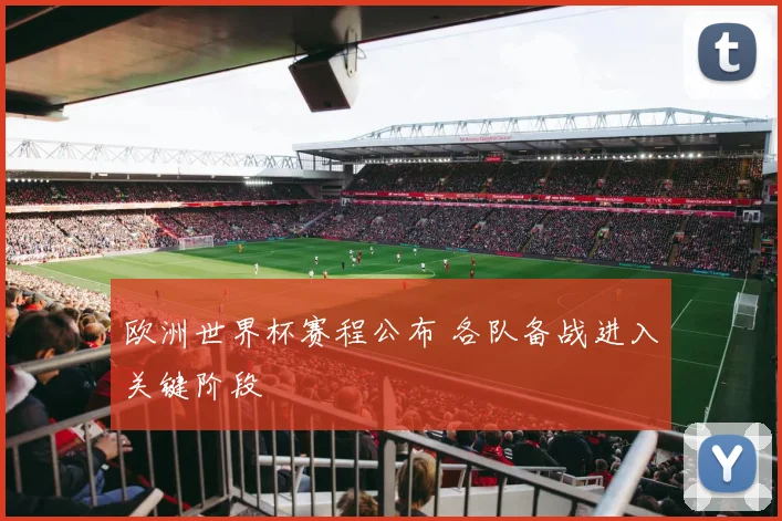 欧洲世界杯赛程公布 各队备战进入关键阶段