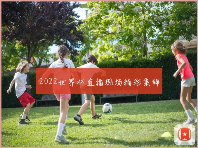 2022世界杯直播现场精彩集锦